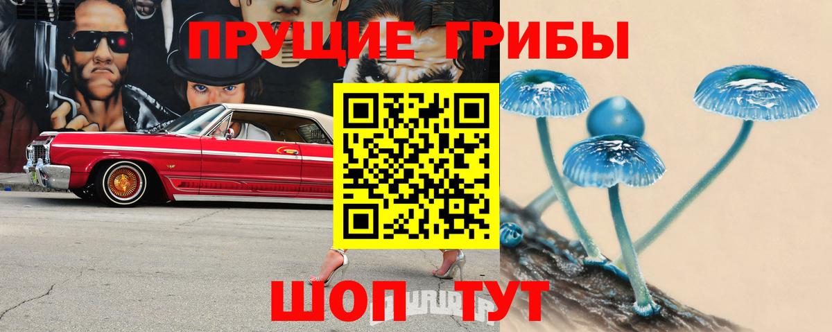Галлюциногенные грибы ЛСД  Вход с VPN  Прохладный  Галлюциногенные грибы Psilocybe 